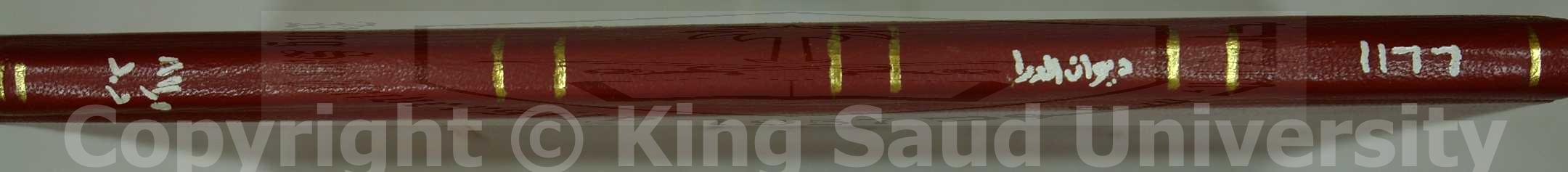 ديوان الدرا 