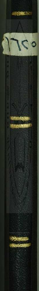 منظومة بالتركية