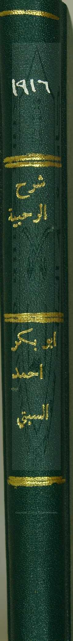 شرح الرحبية لابن المتقنة