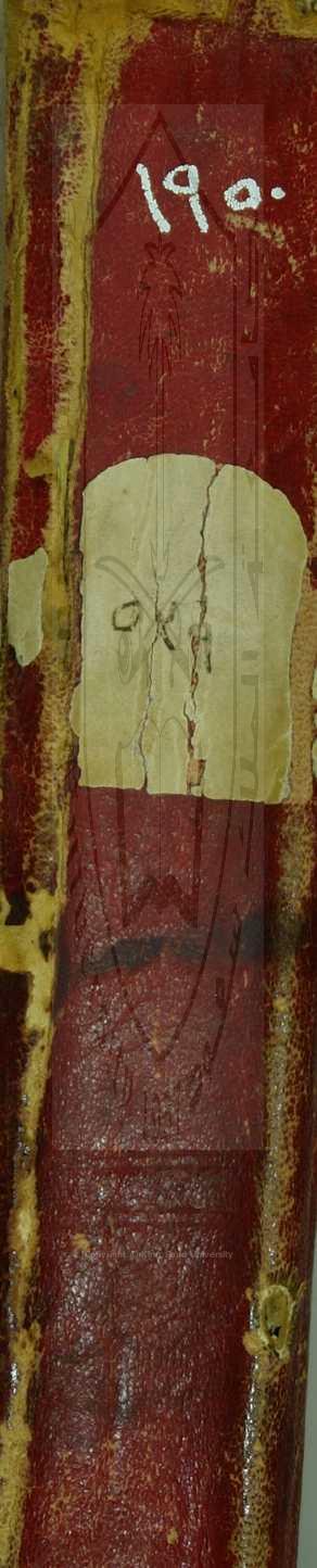 حديقة الورود