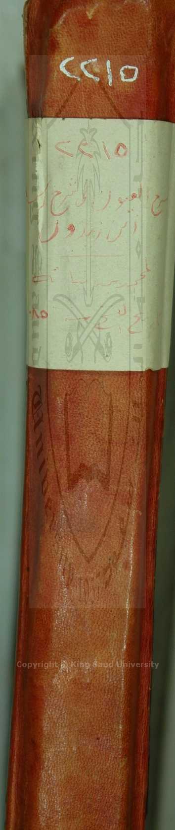 سرح العيون في شرح رسالة بن زيدون