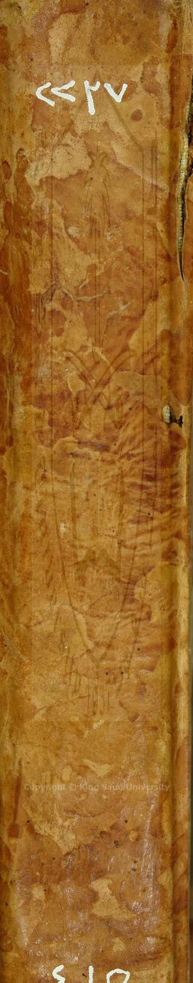 شرح الفية ابن مالك