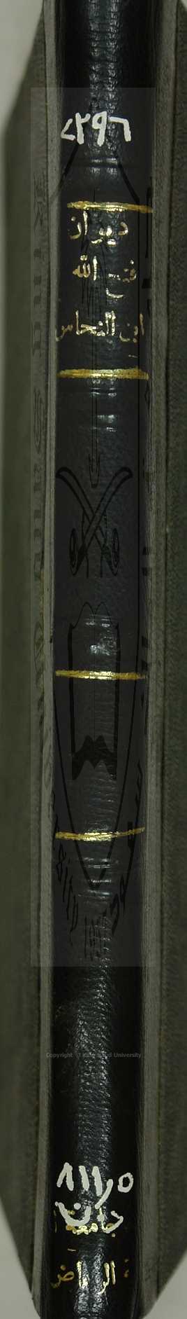 ديوان بن النحاس