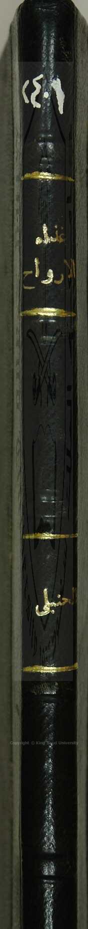 كتاب في النكت والطرائف