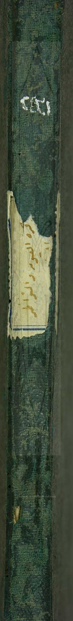 مختصر قرة العيون النواظر في الوجوه والنظائر، كلاهما