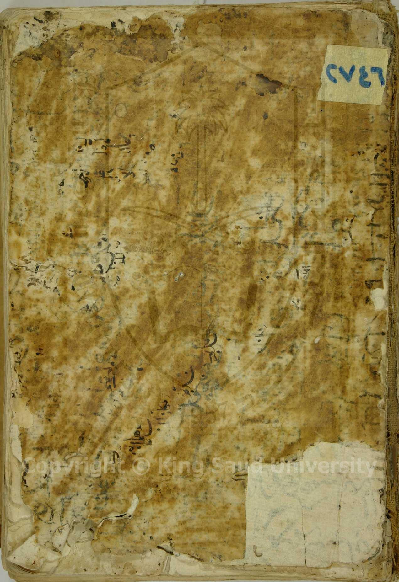 الشامل في فروع الشافعية 