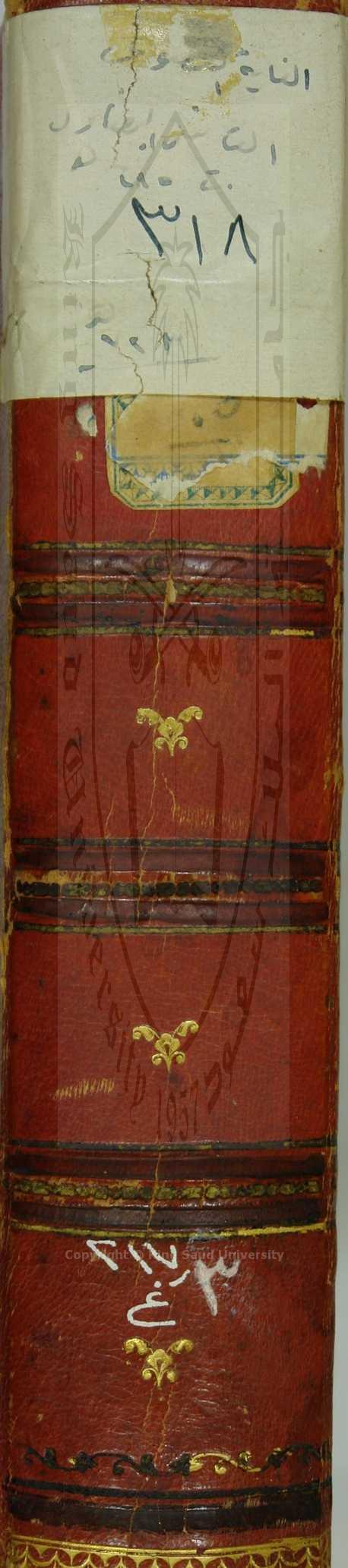 الغاية القصوى في رواية الفتوى