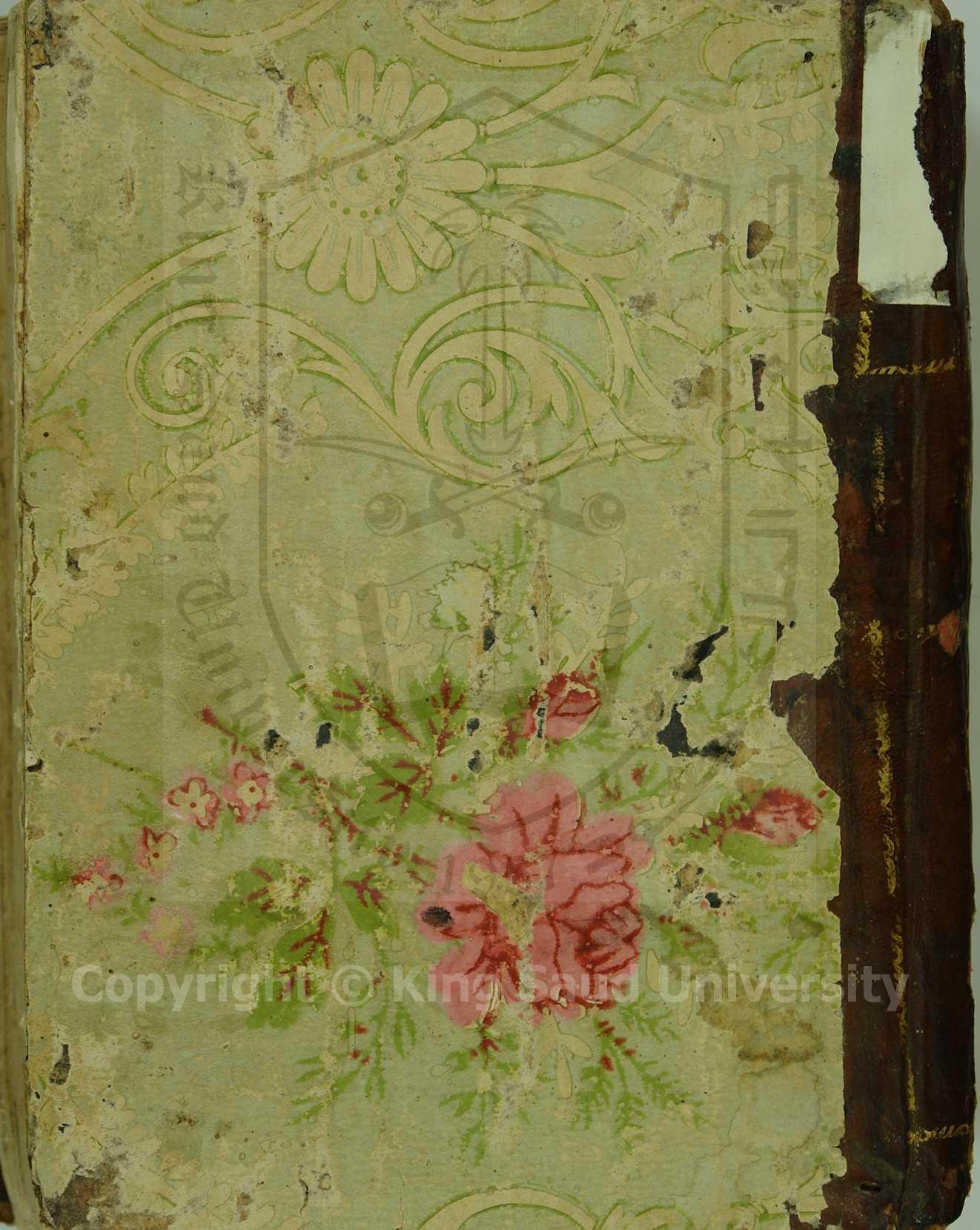 فتوى سالم باصهي