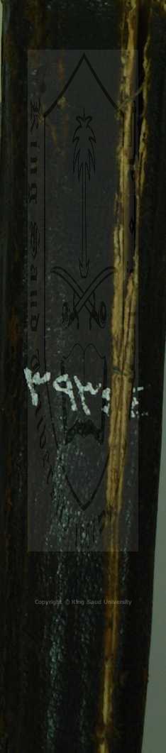 التكملة والذيل والصلة 