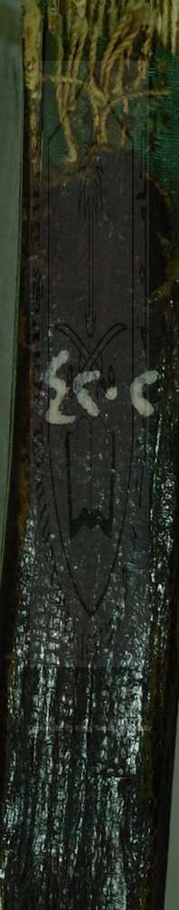 مختصر عنية المتملي في شرح منية المصلى للكاشغري