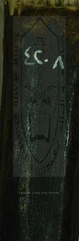 كنز الدقائق 