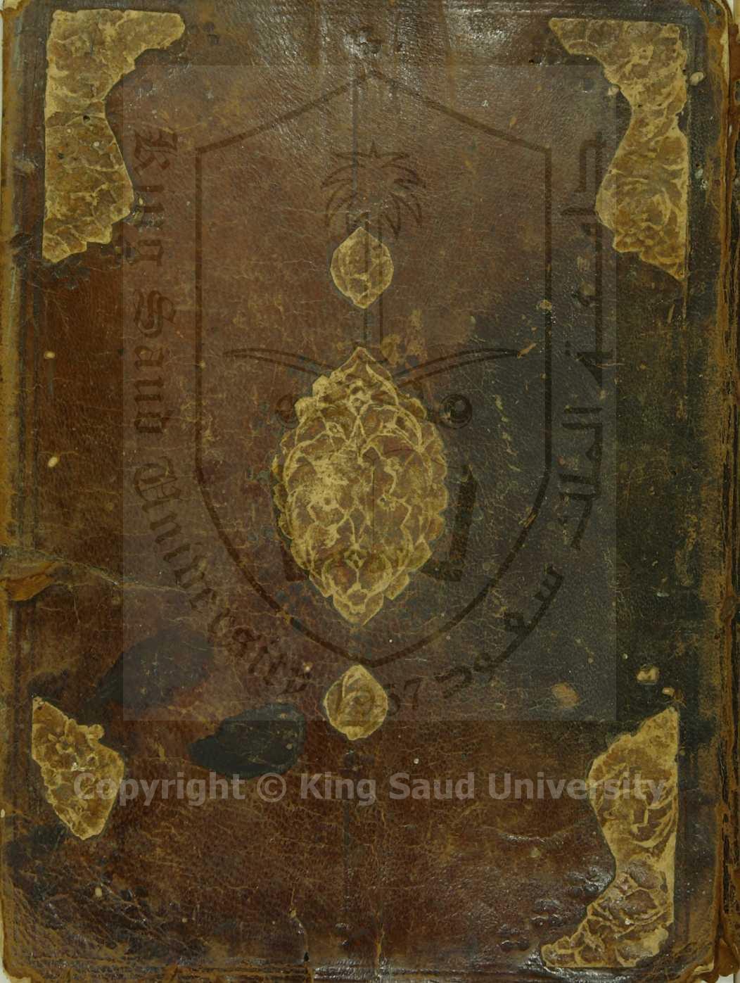 شرح كتاب في البلاغة 