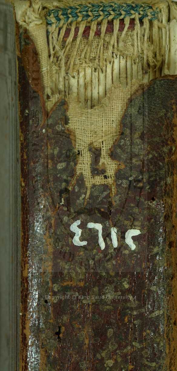 الخميس في احوال انفس نفيس