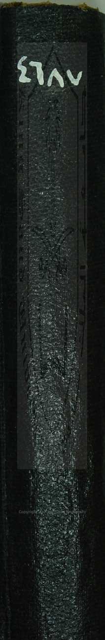 الأشباه والنظائر في الفروع