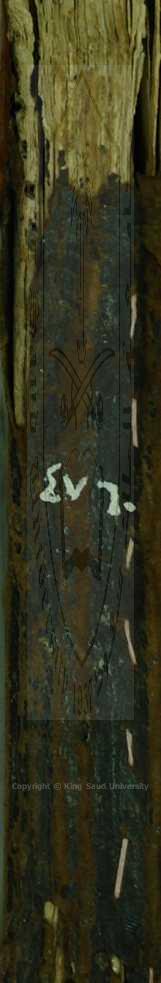 كتابين اولهم : التحقيق في النسب الوثيق