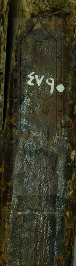 دلائل الخيرات 