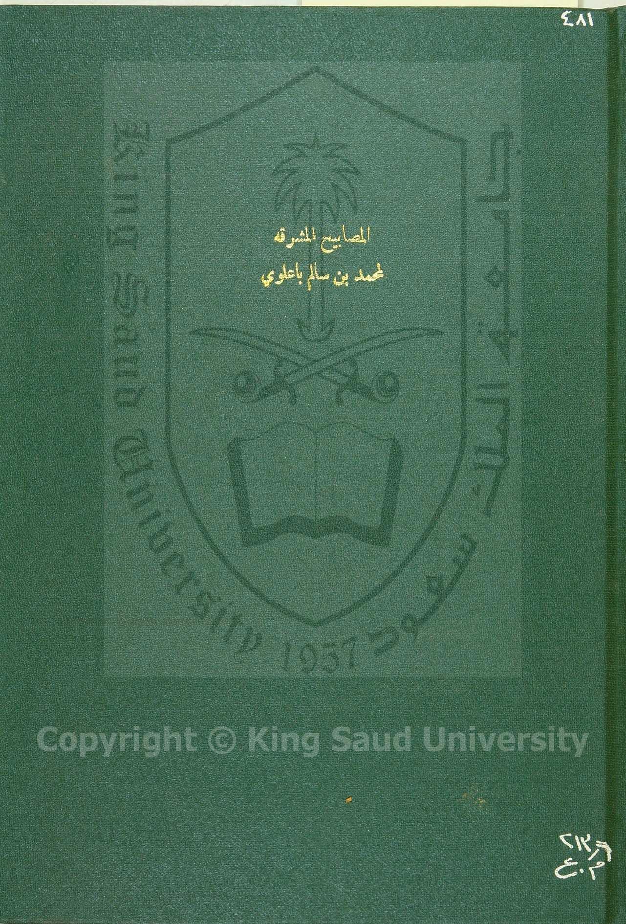 المصابيح المشرقة 