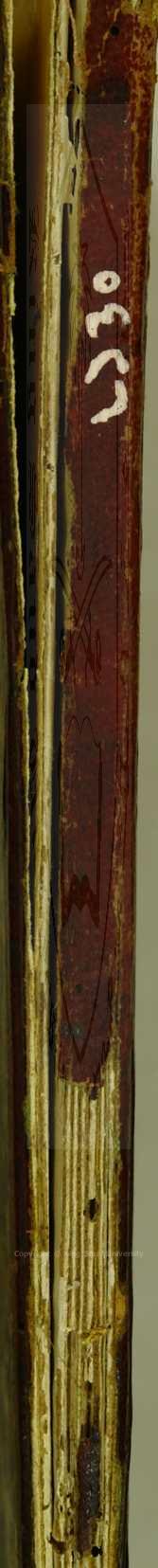 شرح الفرتمة (بالتركية)