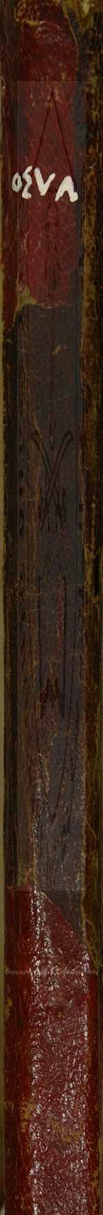 شرح قطر الندي وبل الصدي  