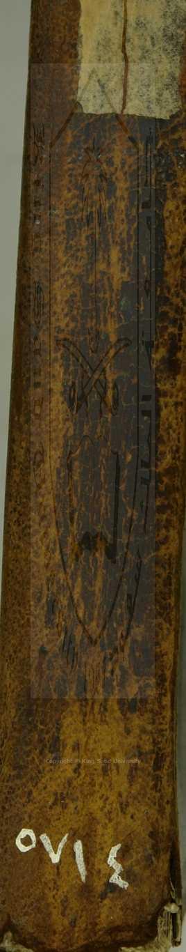 الطريقة المحمدية