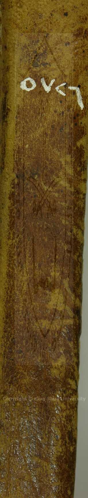 الفوائد في الصلات والعوائد