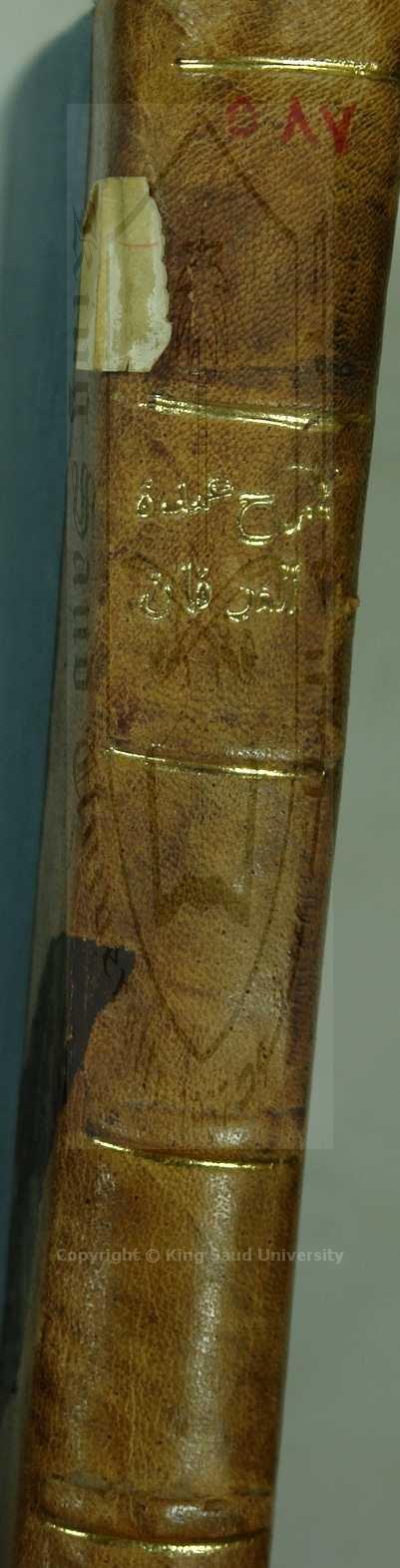 جواهر الصقيان في شرح عمدة الصرفان