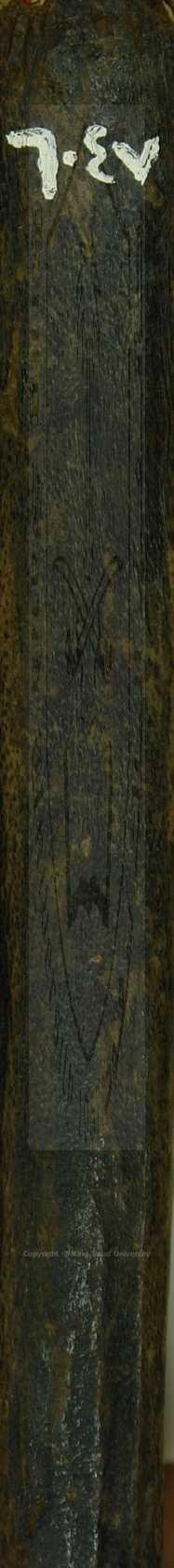 الفلاح في شرح المراح