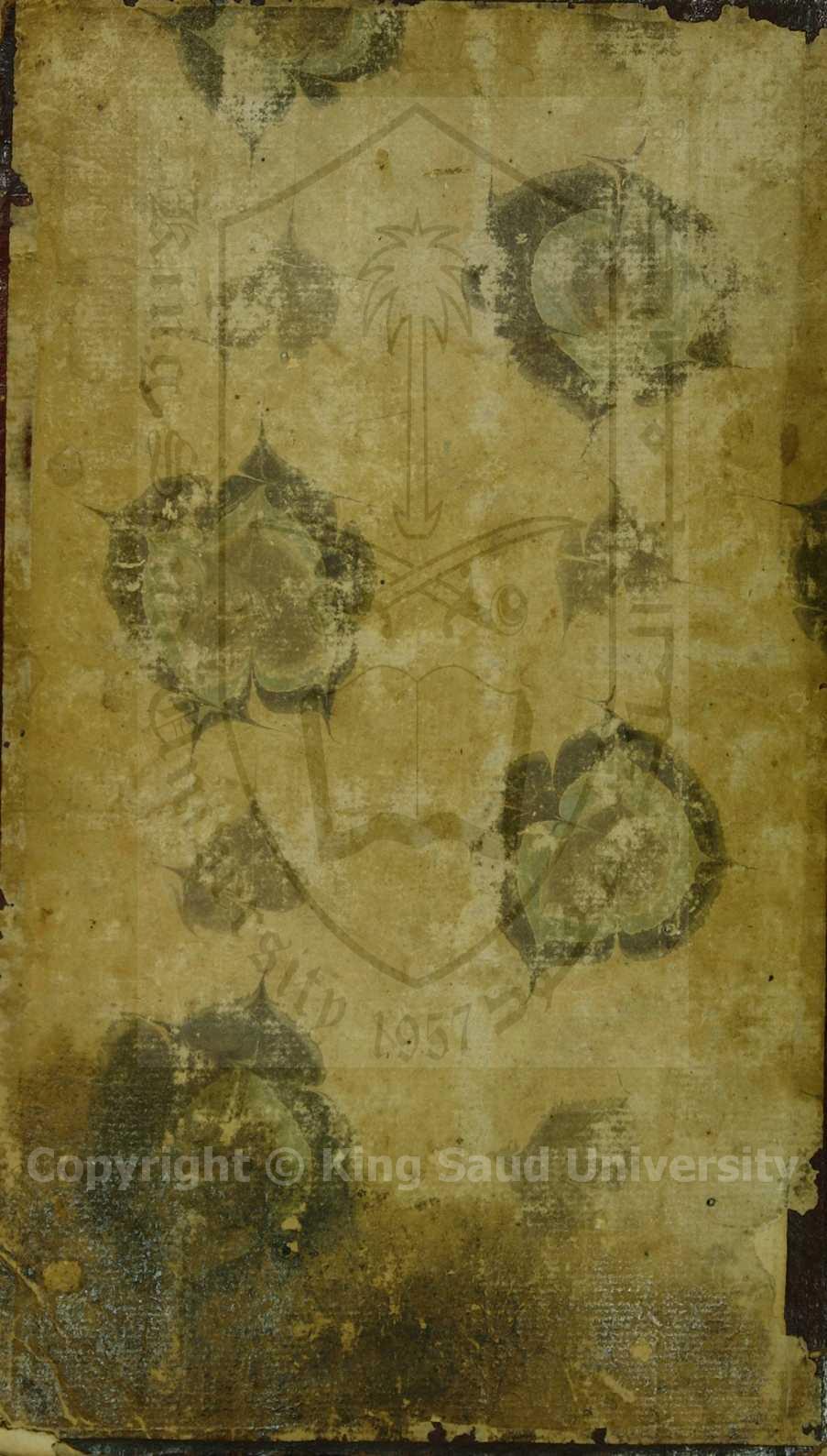 مجموع فتاوى(باللغة التركية )