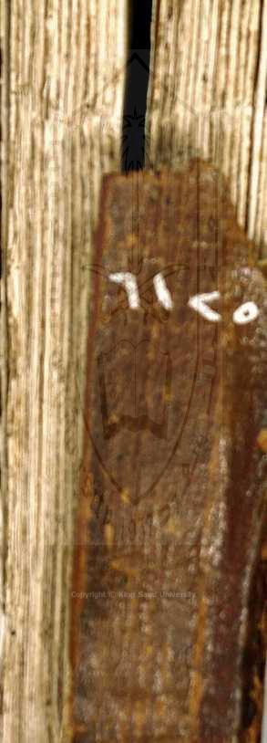 تبين الحقائق شرح كنز الدقائق