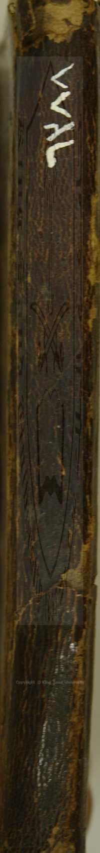 شرح تصريف العزي