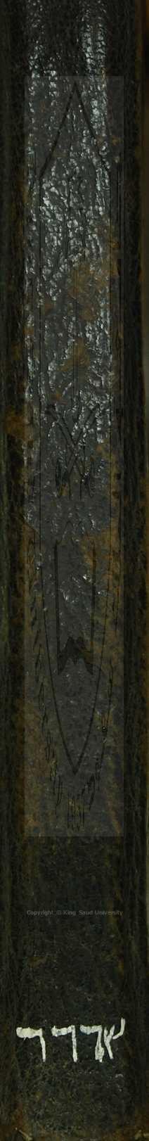 ملتقي الابحر 