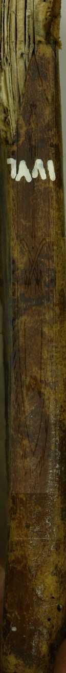 جلاء القلوب