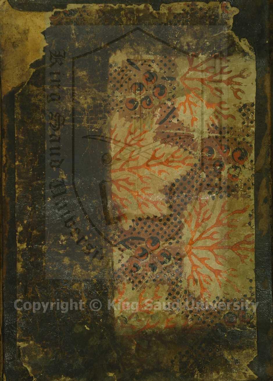 حاشية اللاري على الفوائد الضيائية للجامي على الكافية لابن الحاجب