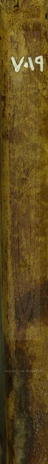 الفوائد الشنشورية في شرح المنظومة الرحبية