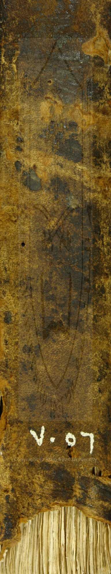 الجواهر الثمينة في مذهب عالم المدينة