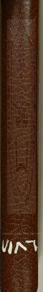 تزهيد الزاهدين وترغيب الراغبين وتأسي كل مصاب حزين بمصيبة سيد المرسلين