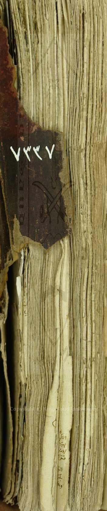 شرح الفية ابن مالك 