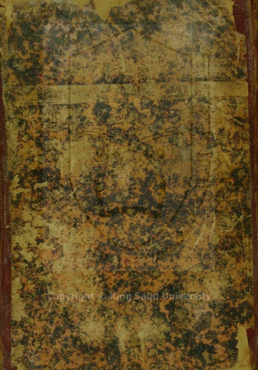 ديوان ابن الفارض 