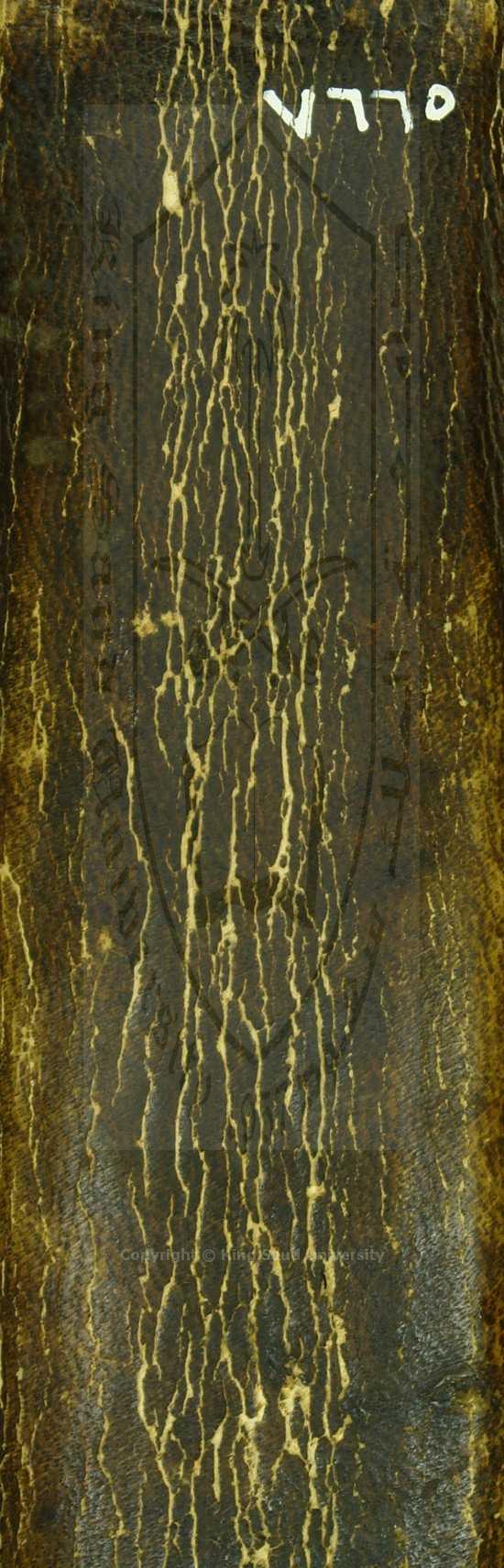 شرح الكافية لابن الحاجب 