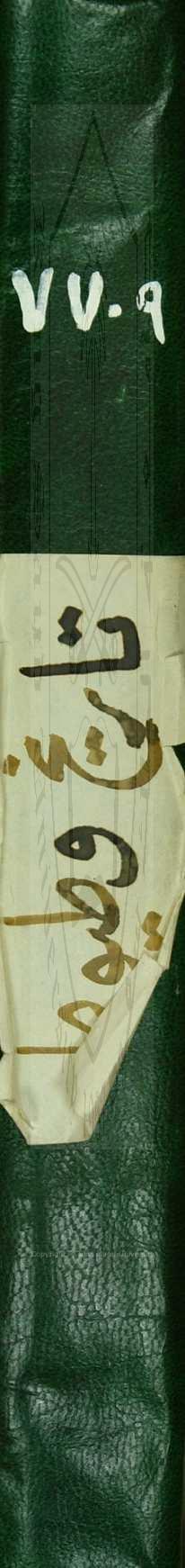 تاريخ وطيوط 