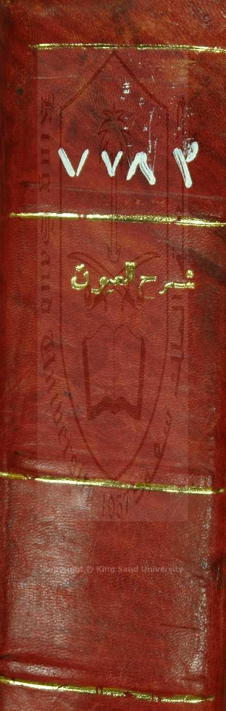 شرح عيون المسائل