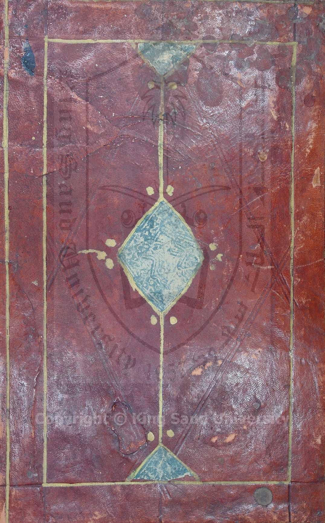 ضوء النهار المشرق على صفحات الازهار 