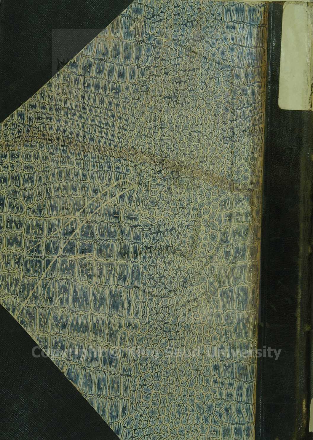 النكتب علي الالفية لابن مالك والكافية لابن الحاجب 